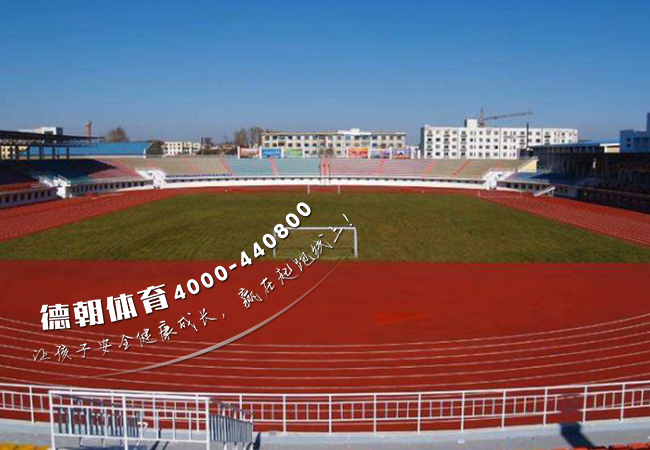 學(xué)校操場塑膠跑道材料