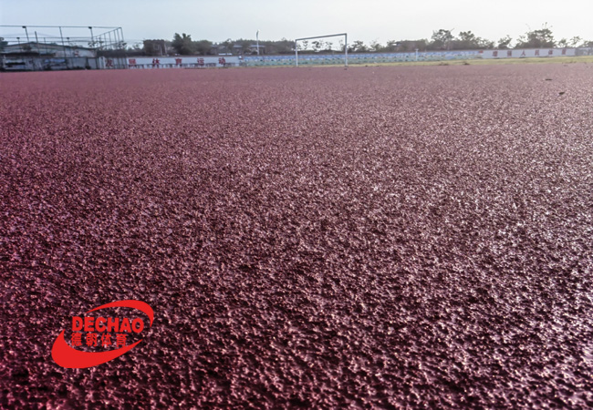 廣東清遠(yuǎn)6200平方全塑型塑膠跑道完工！